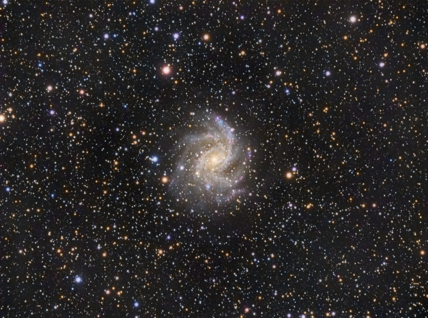 NGC 6946 by Clifford Marcus