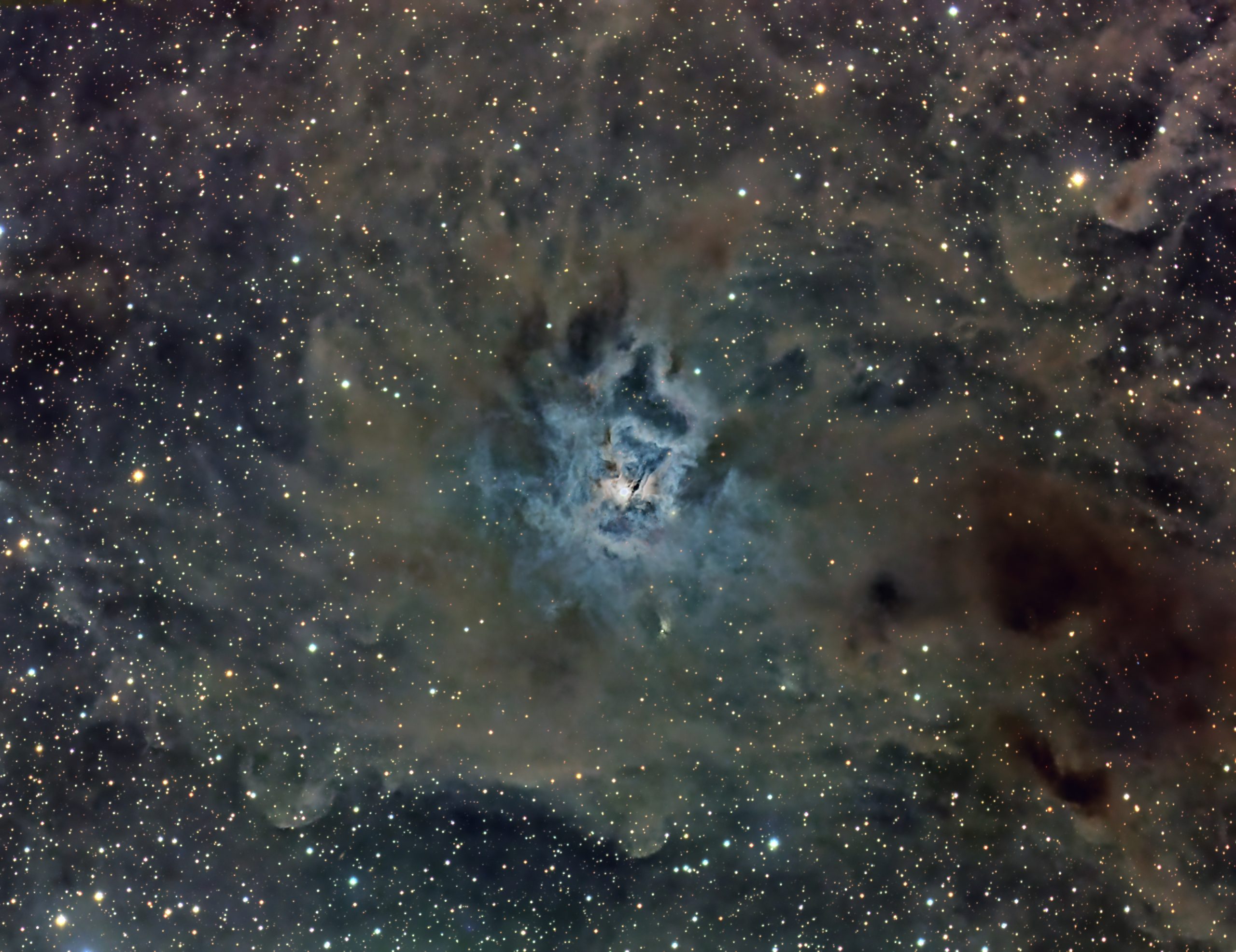 NGC 7023 by Clifford Marcus