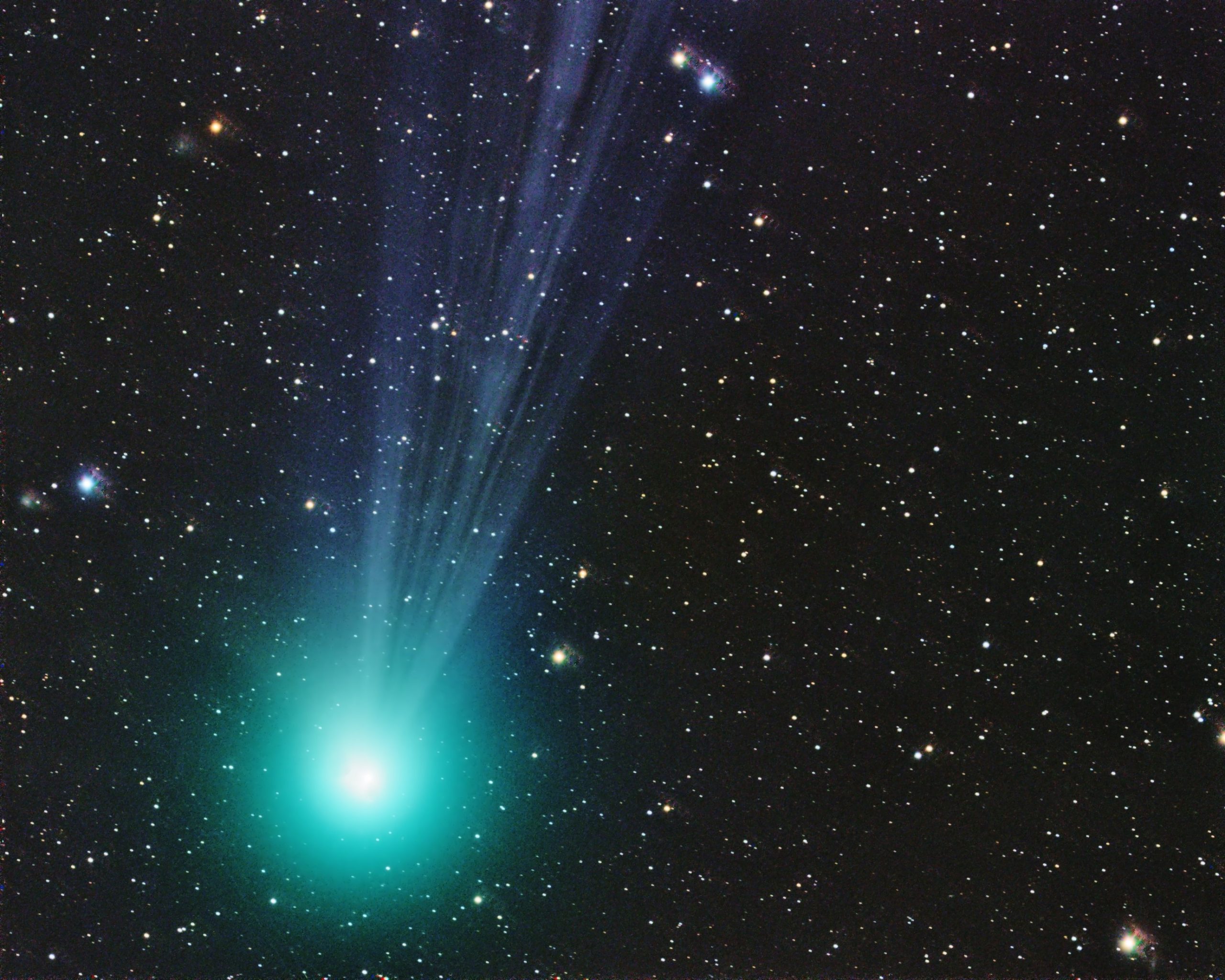 Comet Lovejoy by Clifford Marcus