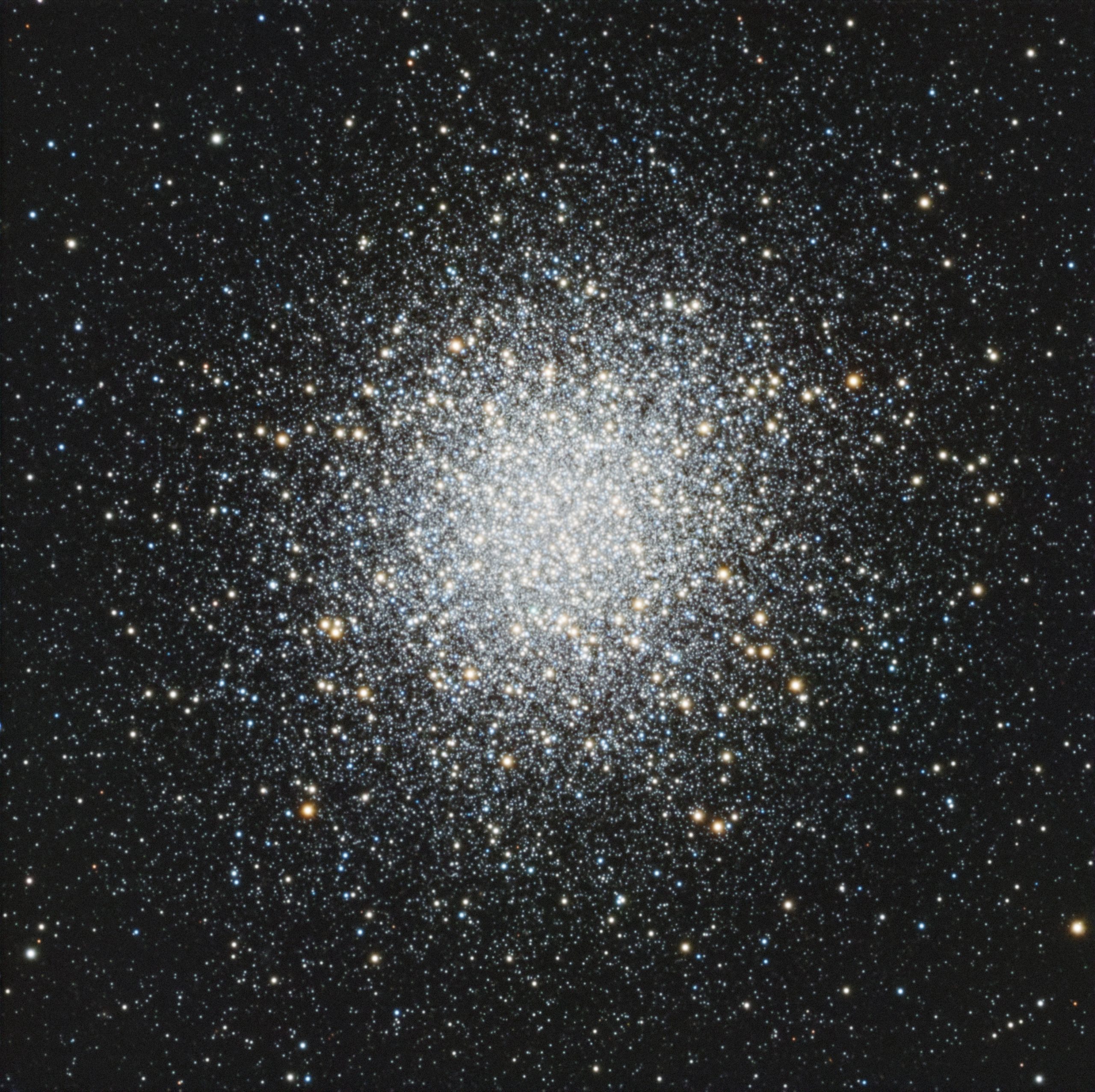 M13